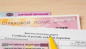 Как найти полис ОСАГО по номеру автомобиля в Benetton