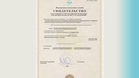 Как найти сайт компании по ИНН в Benetton