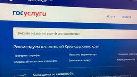 Как получить водительские права через Госуслуги в Benetton