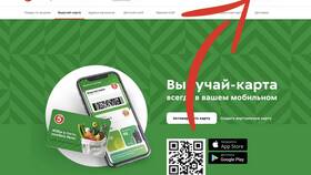 Как посмотреть карту Пятерочки в Benetton