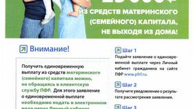 Как заказать выписку из Пенсионного фонда РФ (ПФР) в Benetton