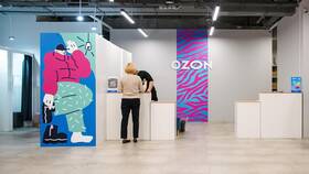 Почему на Ozon не отображаются фото товаров в Benetton