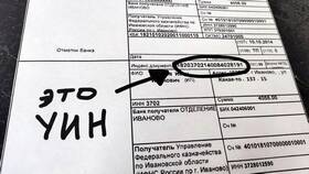 УИН в платежном поручении: что это и зачем нужно в Benetton