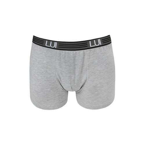 Боксеры мужские LUI 500 Boxer uomo серые XL в Benetton